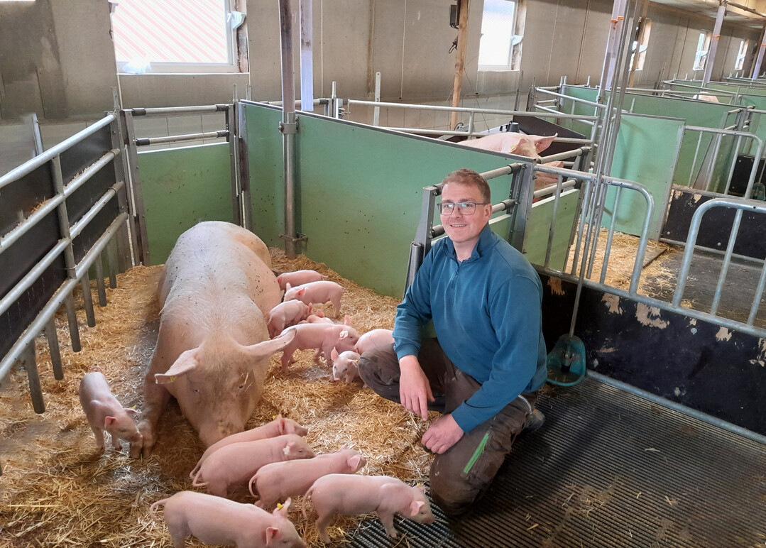 �Wir haben unsere Entscheidung, in einen Tierwohlstall zu investieren, nicht bereut�: Markus Bezelberger und seine Familie halten ihre Zuchtsauen in Buchten, in denen sie frei abferkeln k�nnen.