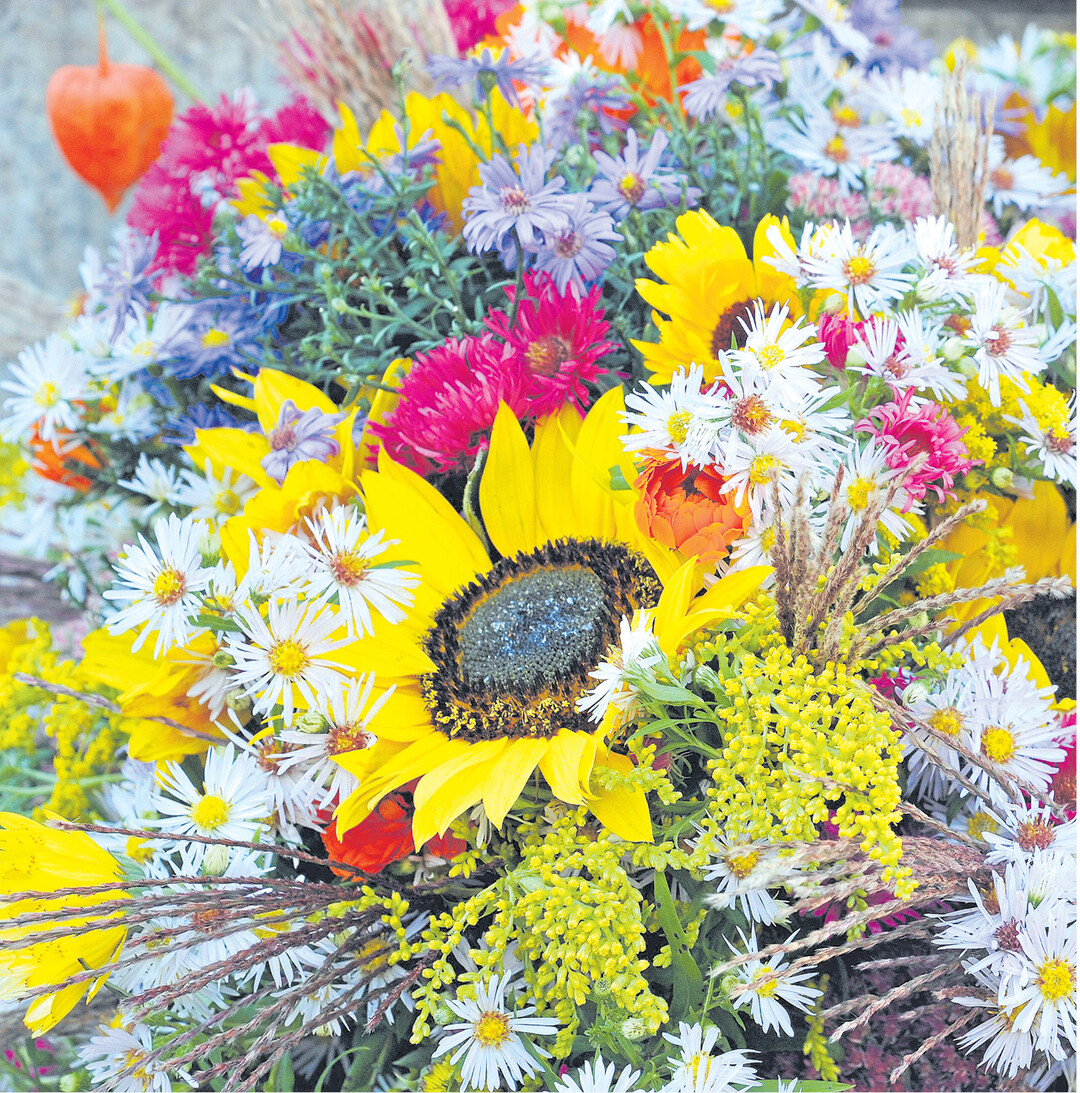 Auch die reiche Blumenf�lle des Herbstes erfreut am Erntedankfest mit ihrer Farbenpracht.