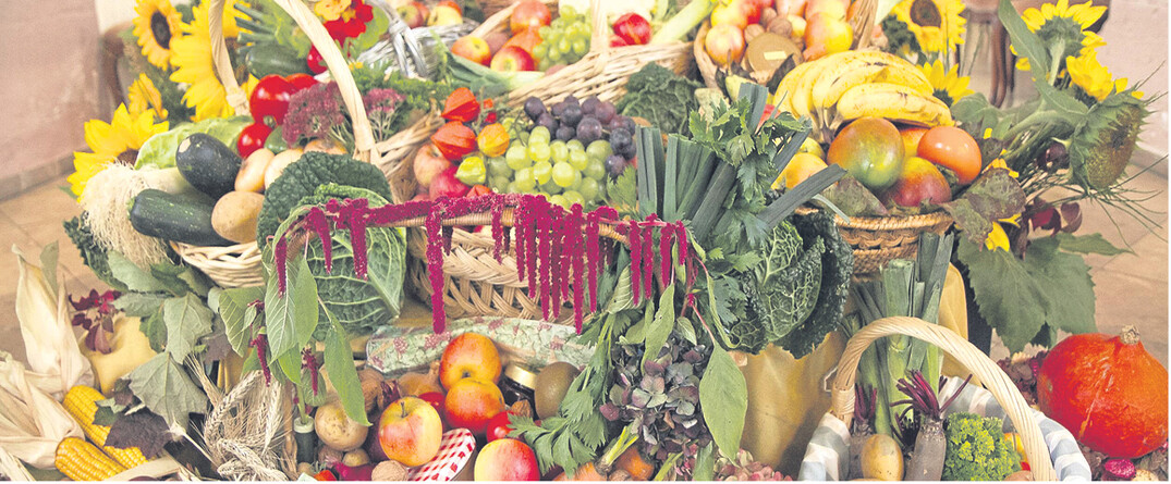 Trotz der extremen Witterungsbedingungen in diesem Jahr haben wir genug zu essen und ein reichhaltiges Sortiment an Obst und Gem�se zur Auswahl.