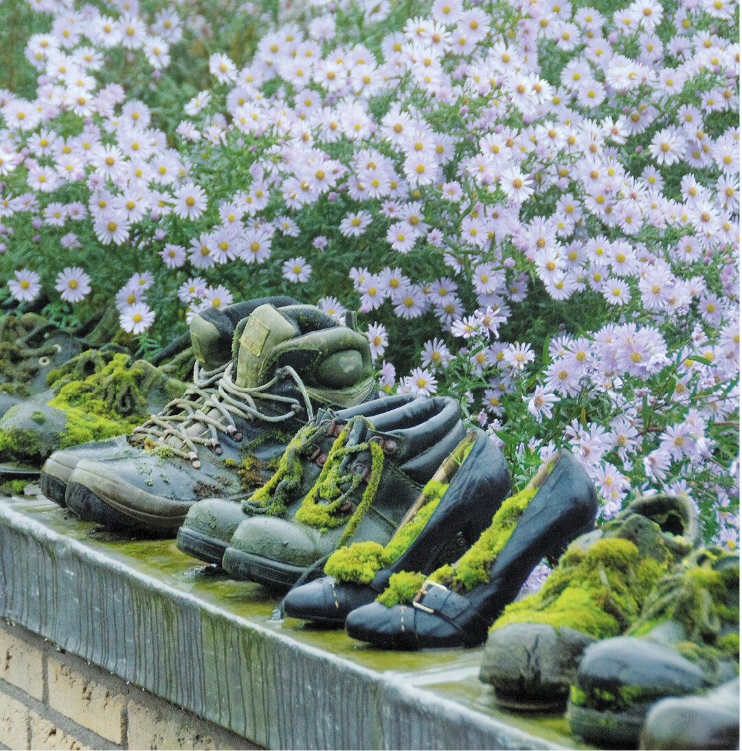 Natur erobert Kultur: Alte, nicht mehr benutzte Schuhe an einem passenden Platz im Garten sich selbst �berlassen. Nach und nach �berwuchert Moos das Arrangement.