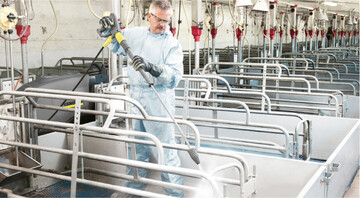 Um die empfindlichen Tiere vor Krankheiten zu sch�tzen, ist es wichtig, dass sie in einer sauberen Umgebung aufgestallt werden.