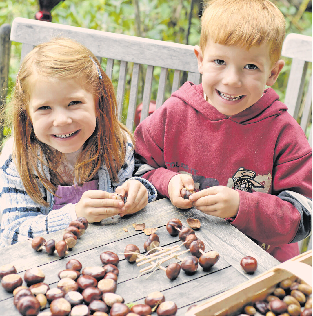 Jetzt hei�t es wieder Kastanien sammeln. Das Basteln macht den beiden sichtlich Spa�. Und das hier entstehende Fahrzeug wird garantiert keine Probleme mit Schadstoffaussto� machen.