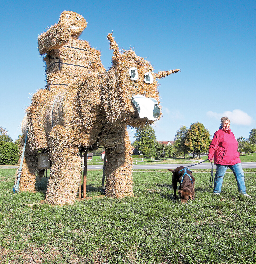 Diese gigantische Kuh aus Strohballen samt Reiter hat die Landjugend in Attenweiler-Schammach im Kreis Biberach an der B312 aufgebaut.