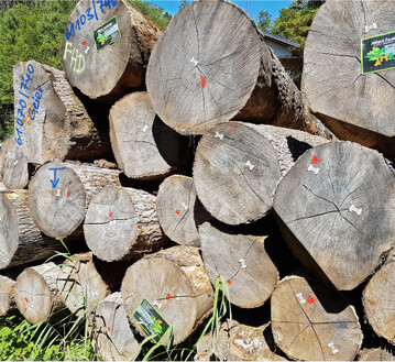 Am Holzmarkt sind die Unsicherheiten gro�. Die S�ger k�nnen ihre Preise schwer kalkulieren, Waldbesitzer nutzen die boomende Brennholznachfrage f�r den Absatz: