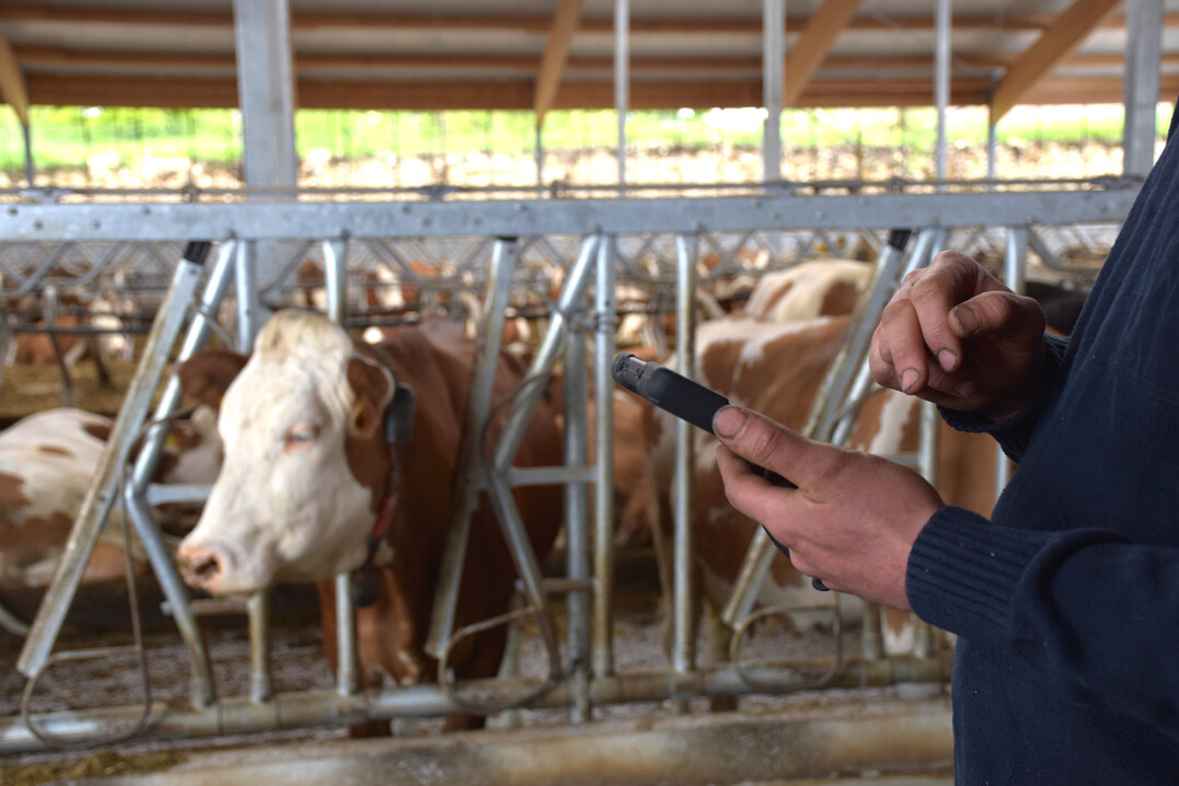 Sind Daten anschaulich dargestellt, lassen sie sich schneller analysieren � auch auf kleinen Ger�ten.