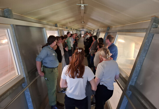 Vom Besuchergang aus konnten die Teilnehmer einen Blick in den Versuchsstall werfen, in dem gerade die K�ken schl�pften.