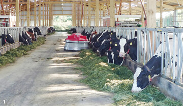 Damit K�he eine gute Lebensleistung erbringen k�nnen und auf dem Betrieb hohe Biosicherheit gew�hrleistet ist, muss ihr Umfeld von der Geburt an hygienisch sauber sein.