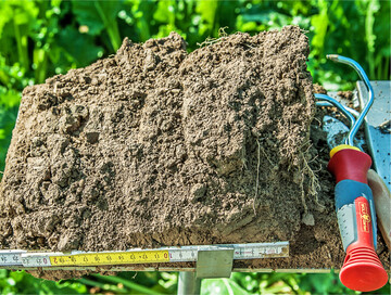 Die Bodenstruktur beeinflusst ma�geblich die Wasser-, Luft- und N�hrstoffversorgung einer Kultur.