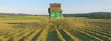 Auf 3,5 ha baut Familie Kraul Kartoffeln unter einer sch�tzenden Mulchschicht an.