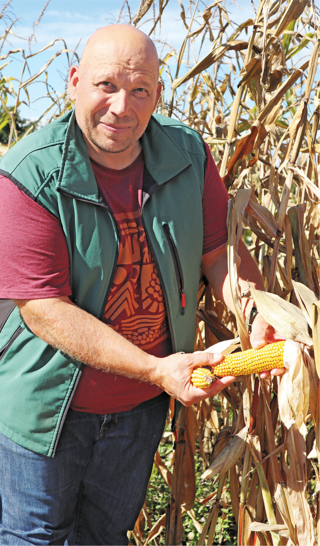 Achim Roth aus Liedolsheim setzt bei Waxymais auf Sorten von Pioneer und DeKalb.