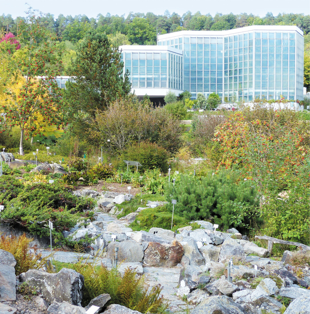 Die Vielfalt und Sch�nheit der Pflanzenwelt kann man bei einem herbstlichen Ausflug in den Botanischen Garten in T�bingen erleben. Auf zehn Hektar finden sich fast 10.000 Pflanzenarten aus f�nf Kontinenten, geordnet nach geografischen, �kologischen, verwandtschaftlichen und thematischen Gesichtspunkten. Das Arboretum (Baumsammlung) ist jetzt im Herbst wegen der vielen Fr�chte und der Laubf�rbung besonders attraktiv. Die �ffnungszeiten sind t�glich von 8 bis 16.30 Uhr. Die Gew�chsh�user sind wegen Corona bis auf Weiteres geschlossen.