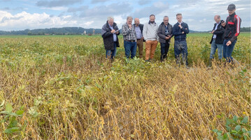 Bernard Mayer, Zuchtleiter für Sojabohnen bei der Saatzucht Donau, stellt den Teilnehmern der Besprechung seinen Soja-Zuchtgarten in Reichersberg/Inn vor. Die frühesten Sorten waren dort bereits am 31. August 2021 druschreif