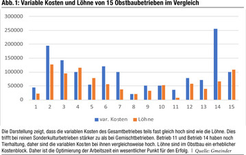 Nicht jede Obstanlage rechnet sich und nicht jeder Betrieb hält einem Vergleich mit anderen stand. Eine betriebswirtschaftliche Analyse kann Aufschluss zur Rentabilität geben.