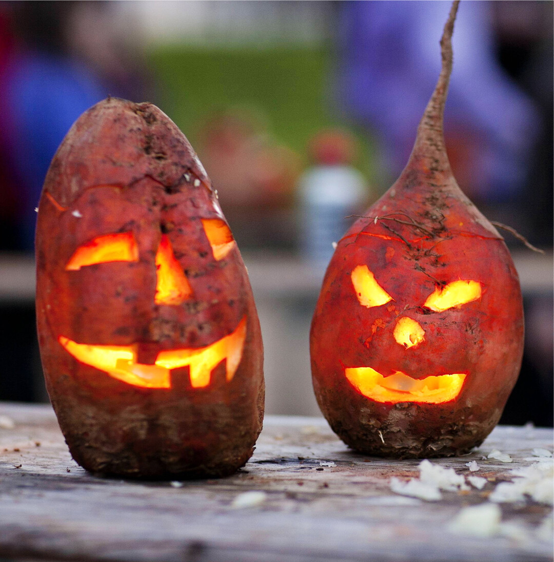 Bevor der K�rbis in Deutschland Einzug hielt, wurden R�bengeister vor dem Haus aufgestellt. Traditionell wurden dazu Futterr�ben ausgeh�hlt und mit einer Kerze im Inneren ausgestattet. Sie sollten Geister und andere Wesen aus der Zwischenwelt abhalten.