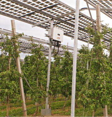 Agri-PV-Anlage auf dem Obsthof Bernhard: Mit dem erzeugten Strom k�nnen 60 Haushalte versorgt werden.