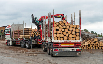 Der Schnittholzmarkt ist r�ckl�ufig. Die S�gewerke produzieren aktuell �berwiegend unter dem sonst �blichen Niveau.