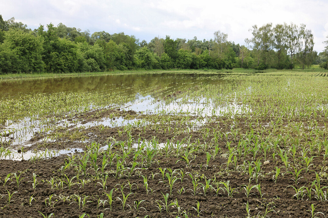 In vielen Regionen wurden �cker �bersp�lt. 