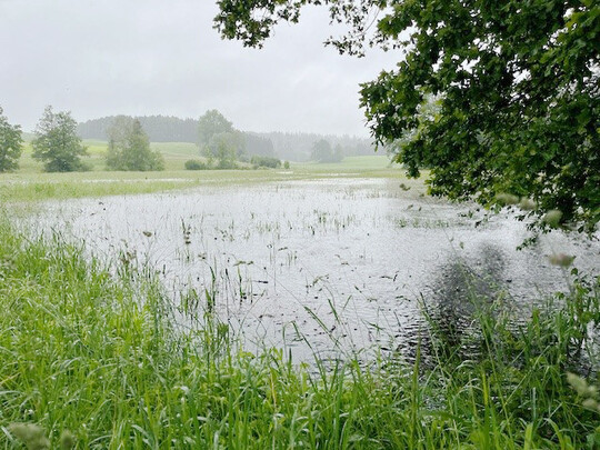 Die Wiesen in Oberschwaben gleichen am vergangenen Wochenende noch einem See. 