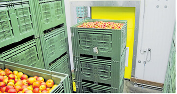 Die Lagerung von �pfeln verschlingt viel Energie. Um den Verbrauch zu senken, sind neben technischen Ma�nahmen auch Stapelpl�ne zur gezielten Einlagerung der Kisten hilfreich.