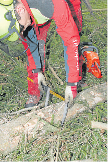 Die Aufarbeitungsqualität sollte sich an den Wünschen des Holzkäufers orientieren. Worauf es ankommt, weiß der Revierleiter.