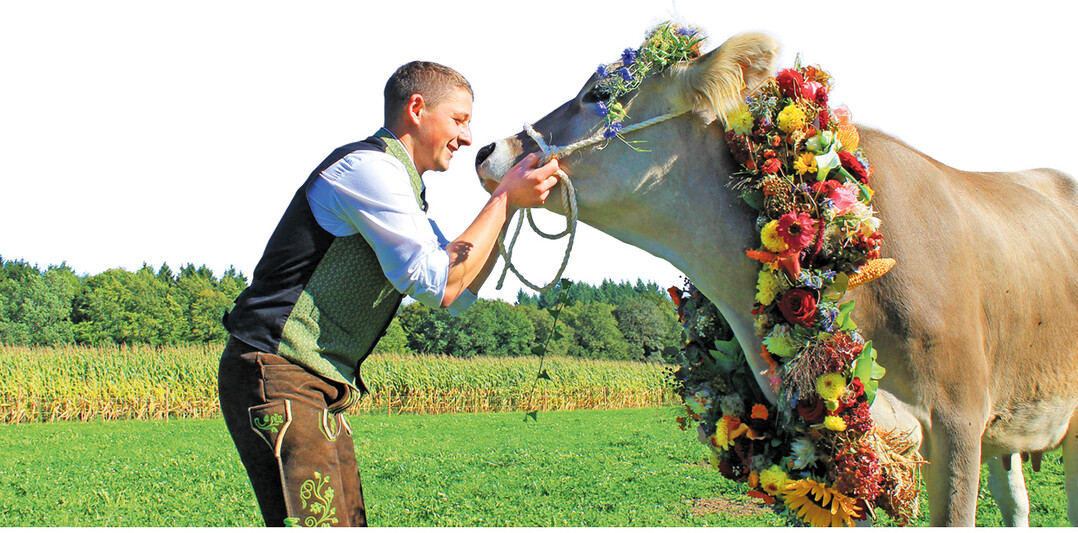 Mit Blumenkranz geschm�ckt hat Jan-Philipp Gaa eine Kuh zum Geburtstag bekommen. Sie soll nicht die einzige bleiben.