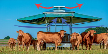 Eine Dachklimaraufe bietet den Tieren Schutz vor direkter Sonneneinstrahlung und Regeng�ssen.