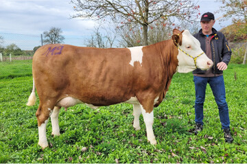 Sie konnte alle K�uferw�nsche erf�llen: Diese junge Walcott-Tochter von Familie Gommel aus Ditzingen erzielte 2740 Euro.