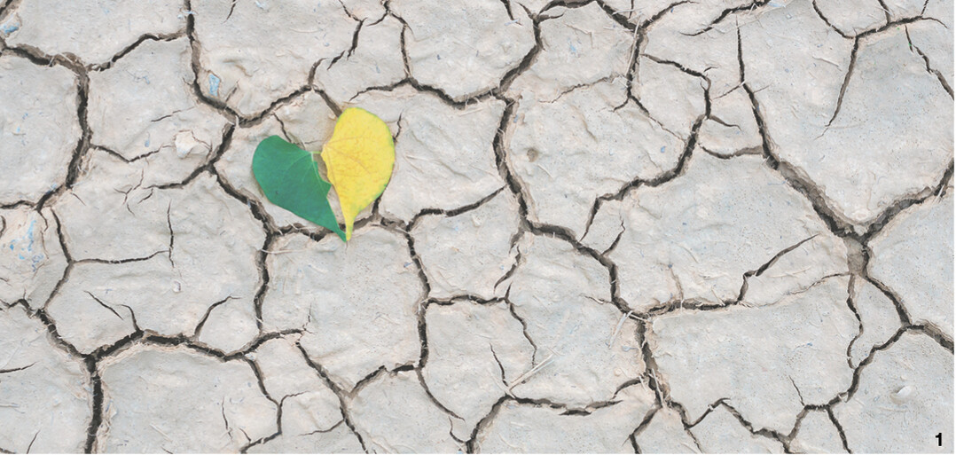 Im Leben gibt es immer wieder Durststrecken. Hier ist ein verbindendes Hilfsmittel gefragt, damit wieder etwas wachsen kann. Miteinander reden und nachfragen k�nnen helfen, die Gr�ben wieder zu schlie�en.