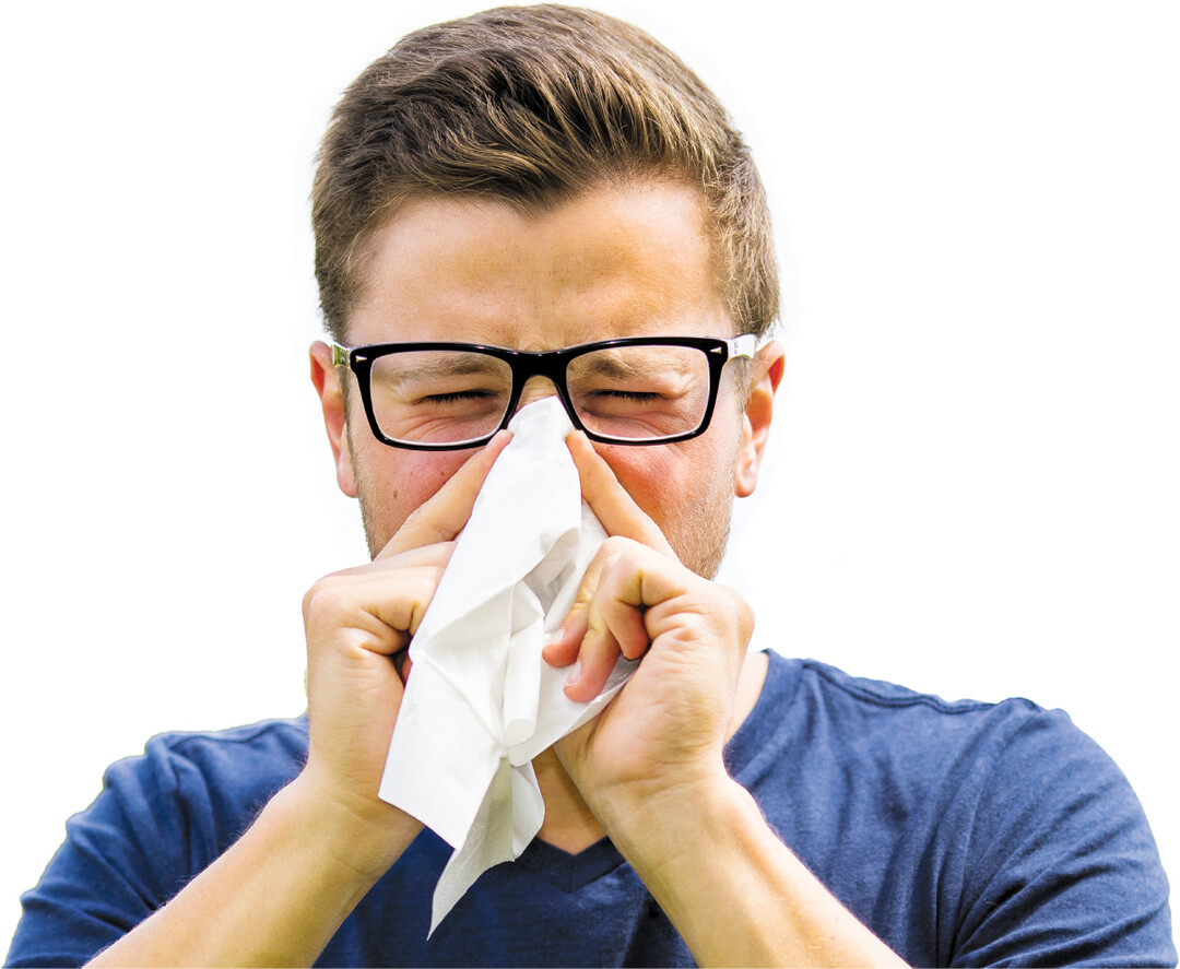 Damit aus einem Schnupfen nicht eine hartn�ckige Entz�ndung der Nasennebenh�hlen wird, schnell Gegenma�nahmen ergreifen.