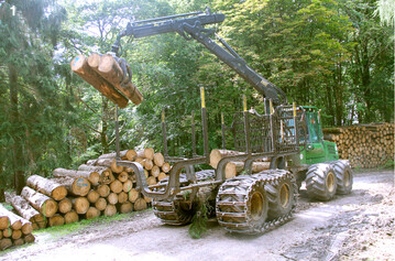 Der Einsatz von Vollerntern und Rückefahrzeugen im Wald nimmt immer mehr zu.