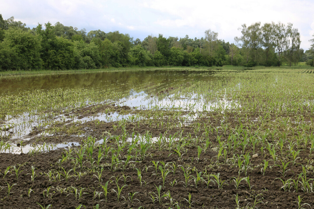 Hochwasserbilder vom 1. und 2. Juni 2024, Baienfurt, Wangen, Baienfurt.