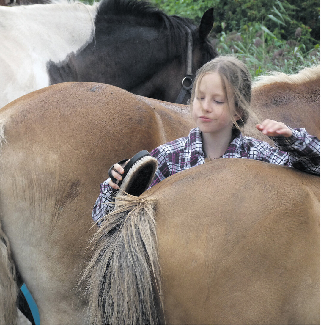 Anna liebt Pferde. Sie liest auch gerne B�cher. Nicht nur Pferdeb�cher. Ihre Lieblings-Serie ist �Die Schule der magischen Tiere". Diese Schule birgt ein Geheimnis. Denn wer Gl�ck hat, findet hier den besten Freund, den es auf der Welt gibt. Ein magisches Tier. Ein Tier, das sprechen kann.