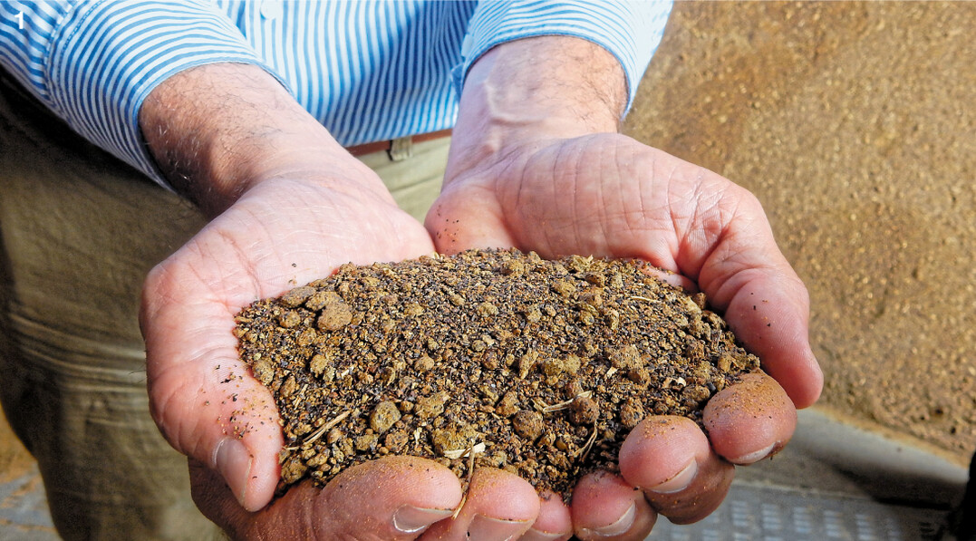 Rapsextraktionsschrot punktet mit seiner Gentechnikfreiheit. Ein Grund, warum eine wachsende Anzahl von Rinder-, Schweine- und Gefl�gelhaltern auf die Alternative zu Sojaextraktionsschrot setzt.
