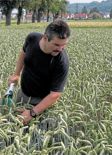 Weniger Fl�che f�r Futtergetreide und stattdessen mehr Anbau von Produkten f�r den direkten menschlichen Verzehr: Das soll die globale Versorgung l�ngerfristig sichern.