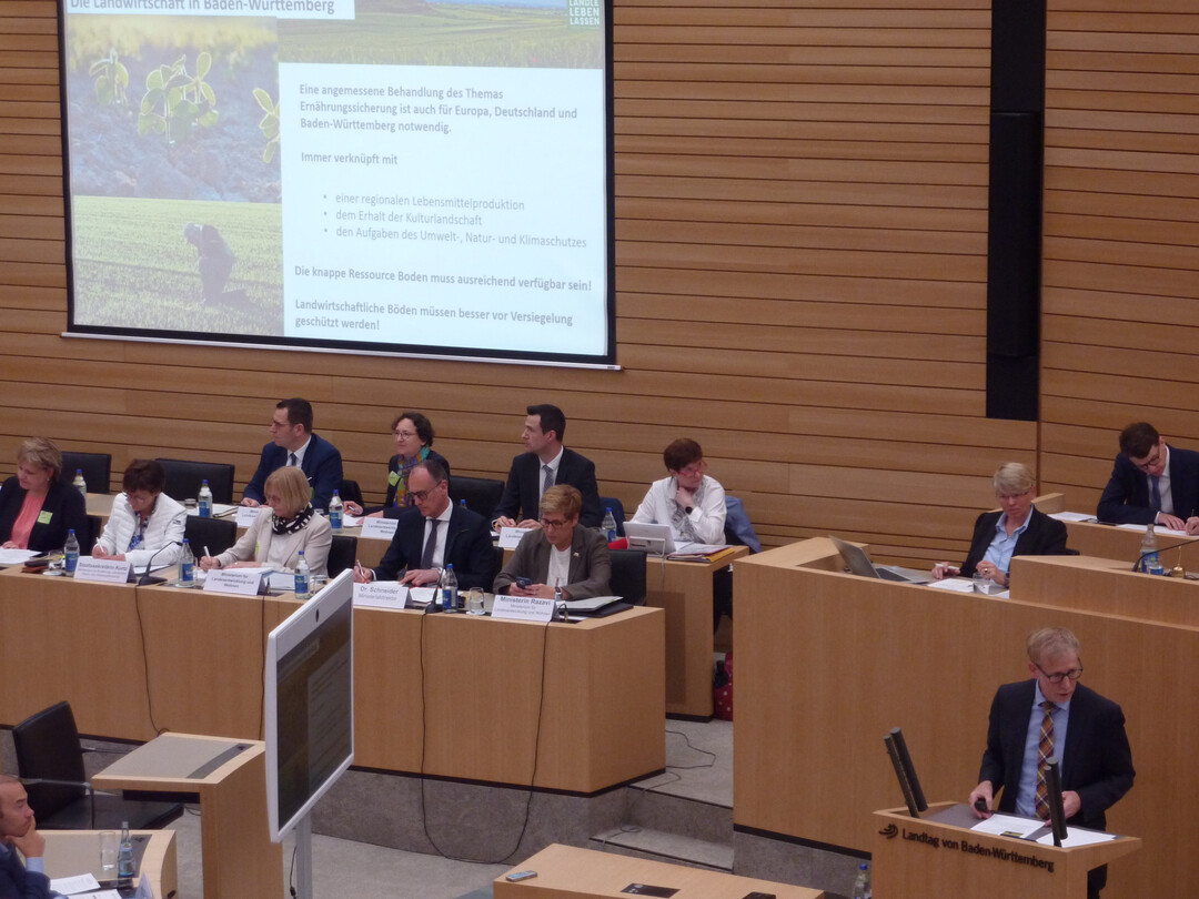 Anh�rung im Landtag. 