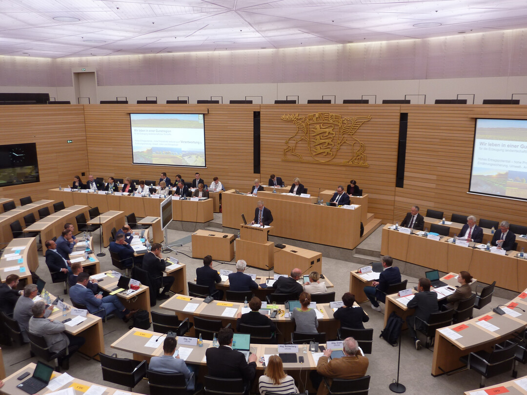 Anh�rung im Landtag