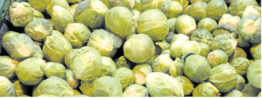 Rosenkohl hat jetzt Saison. Die kleinen R�schen erscheinen als feste Kohlk�pfe im Miniformat.