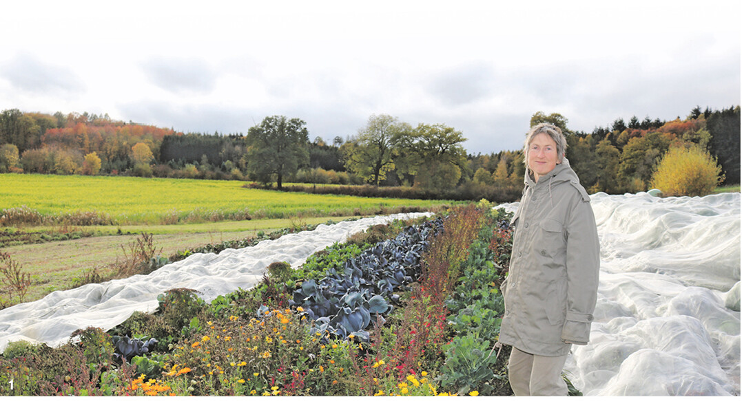 Biggi H�ussler entwirft den Anbauplan f�r die Solawi. Ganz nach dem Motto Probieren geht �ber Studieren" experimentiert sie gerne mit neuen Gem�sesorten.