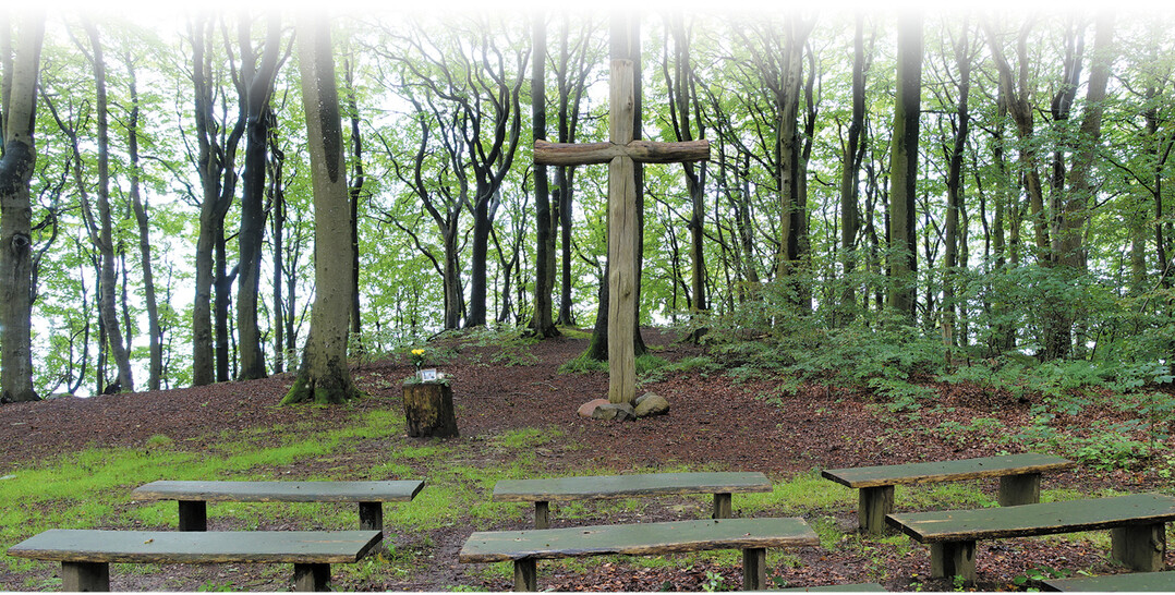 Der Tod eines Elternteils ist ein einschneidendes Ereignis. Manchmal kommen Familienkonflikte hinzu.