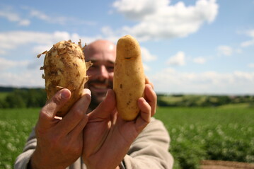 Die Kartoffel erh�lt einen eigenen Gedenktag: jedes Jahr am 30. Mai.