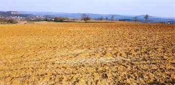 Die g�nstigen Eigenschaften der Parabraunerde sind ihr N�hrstoffreichtum und eine hohe nutzbare Feldkapazit�t. Parabraunerden sind aber auch strukturschwach und dadurch sehr empfindlich, beispielsweise f�r Verdichtungen.