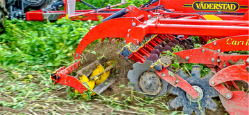 Angepasstes Zwischenfruchtmanagement spart viel Geld.� �