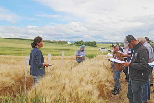 Auf dem zentralen Versuchsfeld in B�nnigheim: Die Pflanzenbauberaterin Ronja Ballreich (l.) und ihr Kollege Uli Nagel (2.v.l.) erl�utern die Braugerstenversuche.
