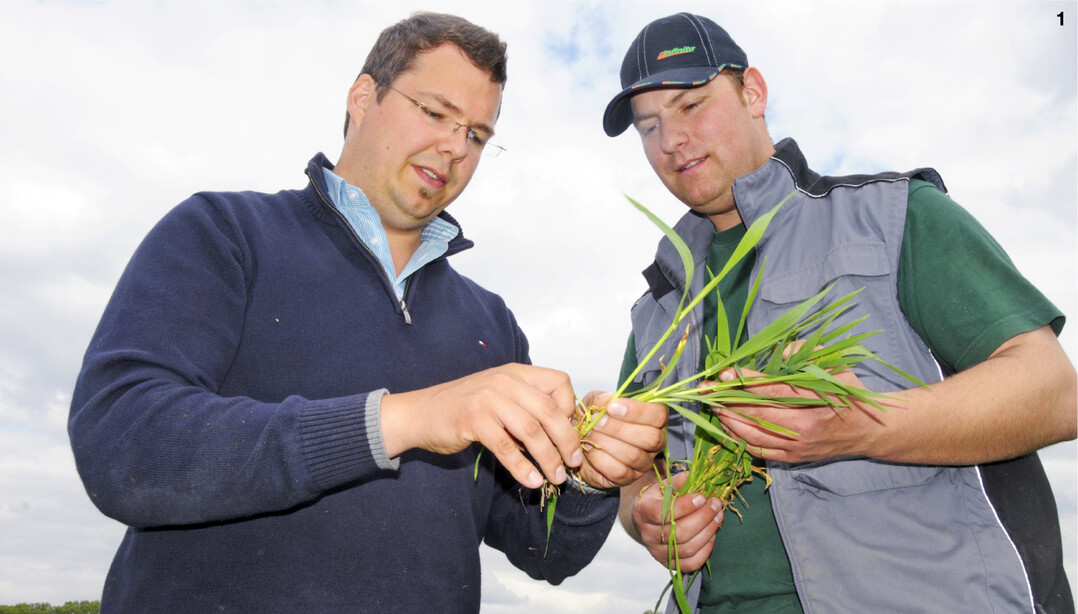 Das landwirtschaftliche Unternehmen kann selbst die Auswahl treffen, mit welchem zugelassenen Beratungsanbieter es zusammenarbeiten m�chte.