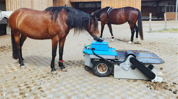 Mit einem Entmistungsroboter könnten Laufhöfe in Zukunft automatisch gesäubert werden. Noch befindet sich das Gerät in der Erprobungsphase.