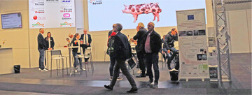 Der Schweinezuchtverband/German Genetic präsentierte seine Zuchtarbeit und Innovationen auf der EuroTier.