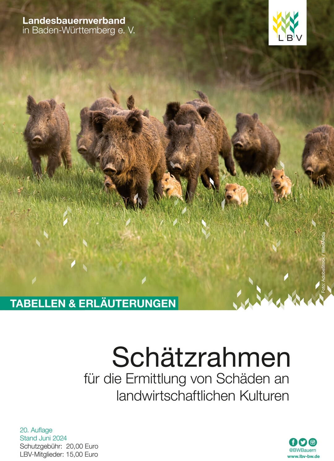 Cover des LBV-Schätzrahmen 2024