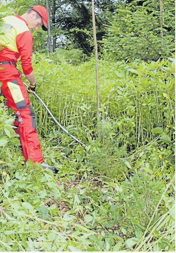 Für geförderte Pflanzflächen gibt es jetzt auch Zuschüsse für die Kultursicherung.