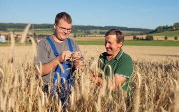 Eine Vernetzung, die in der Biomusterregion Heidenheim gefruchtet hat, ist das Thema Braugerste. Die H�rtsfelder Familienbrauerei Hald hat sich mit der Erzeugergemeinschaft Kornkreis zusammengetan und kann nun Biobraugerste aus der Region beziehen.