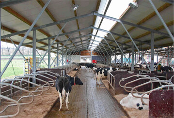 Modernere St�lle rechnen sich: Ein wirtschaftlicher Stallplatz verbindet die anfallenden Baukosten mit optimalen Tierleistungen und geringen St�ckkosten bei hoher Effizienz.